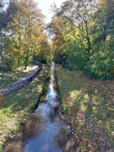 Podlaska Wielokulturowość, zdjęcie 1 z 58