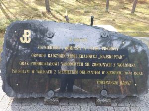 Jerzyska 44, zdjęcie 7 z 25