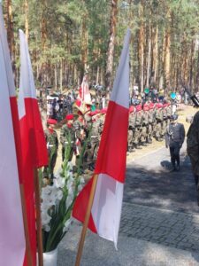 Jerzyska 44, zdjęcie 10 z 25