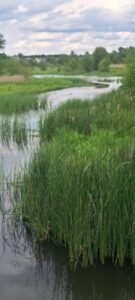 Spływ kajakowy rzeką Rządzą, zdjęcie 1 z 14
