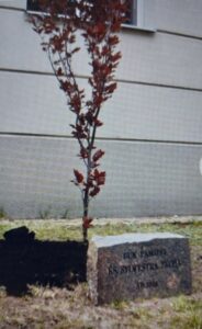 Pamięci księdza Sylwestra Zycha, zdjęcie 7 z 8