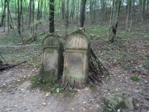 Roztocze - kraina niezwykłości, zdjęcie 9 z 93
