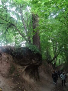 Roztocze - kraina niezwykłości, zdjęcie 16 z 93