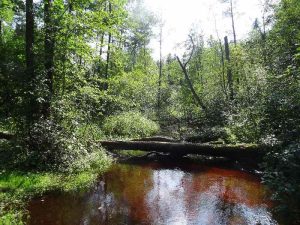 Roztocze - kraina niezwykłości, zdjęcie 51 z 93