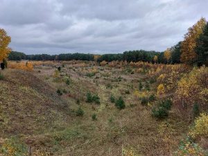Brok, Zuzela, Treblinka…, zdjęcie 44 z 52