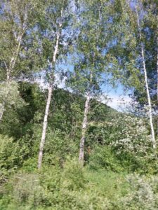 Bieszczady i ich zaginiony lud - Bojkowie, zdjęcie 21 z 44