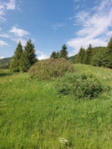 Bieszczady i ich zaginiony lud - Bojkowie, zdjęcie 22 z 44