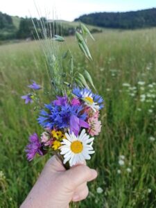 Bieszczady i ich zaginiony lud - Bojkowie, zdjęcie 44 z 44